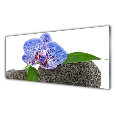 Obraz na skle Kvet rastlina príroda