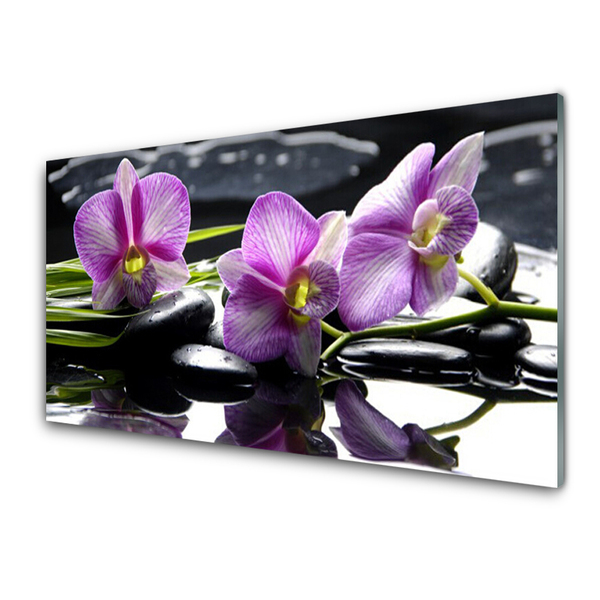 Obraz na skle Kvet kamene rastlina