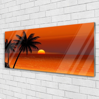 Obraz na skle Palma more slnko krajina