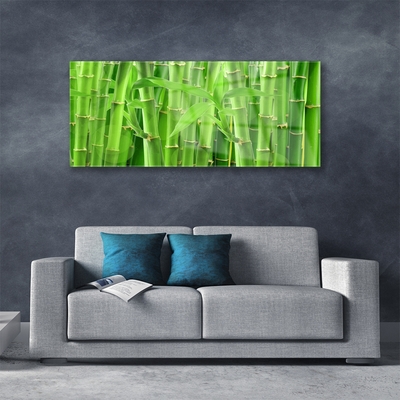 Obraz na skle Bambus stonka kvet rastlina
