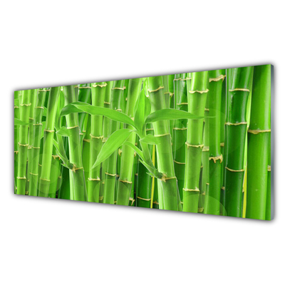 Obraz na skle Bambus stonka kvet rastlina