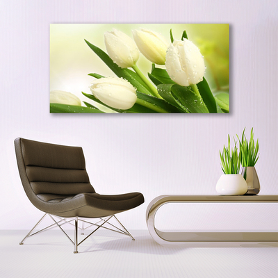 Obraz na skle Tulipány kvety rastlina
