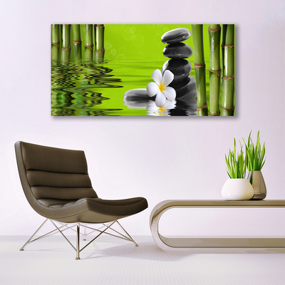 Obraz na skle Bambus kamene rastlina