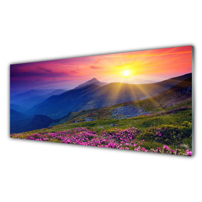 Obraz na skle Hory kvet lúka krajina