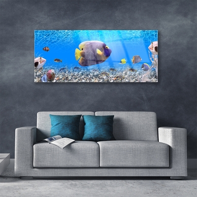 Obraz na skle Ryba príroda
