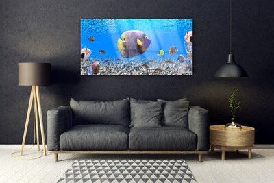 Obraz na skle Ryba príroda