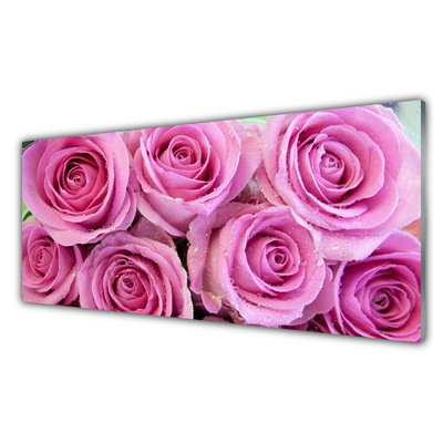 Obraz na skle Ruže kvety rastlina