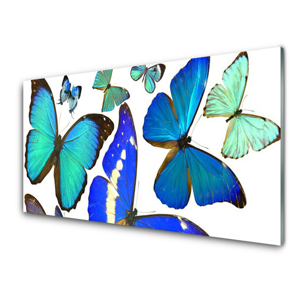 Obraz na skle Motýle príroda