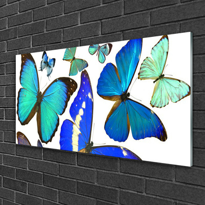 Obraz na skle Motýle príroda