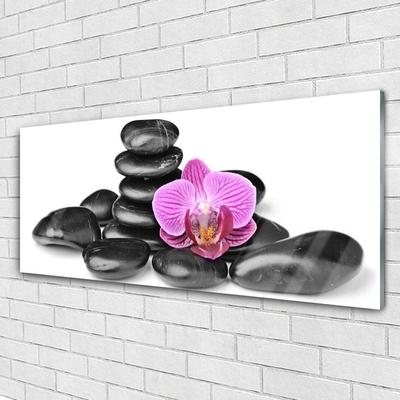 Obraz na skle Kvet kamene umenie