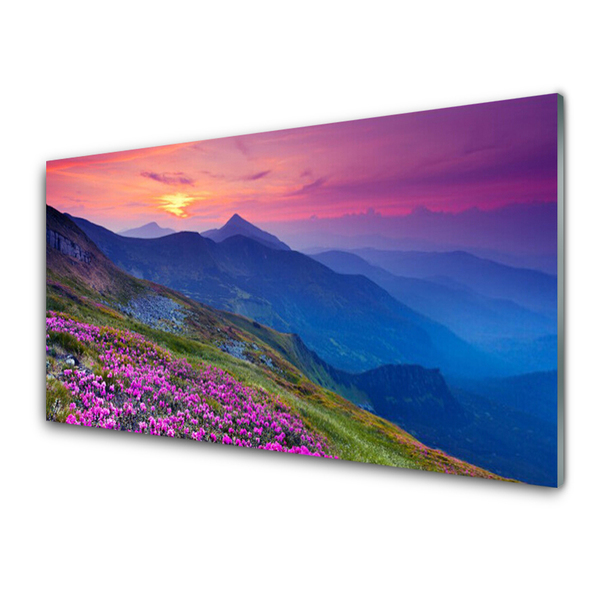 Obraz na skle Hory lúka kvety príroda