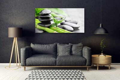 Obraz na skle Bambus kamene rastlina