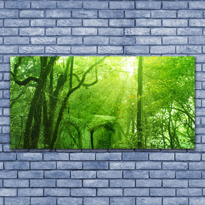 Obraz na skle Stromy príroda