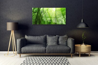 Obraz na skle Stromy príroda