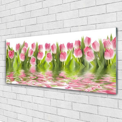 Skleneny obraz Tulipány rastlina príroda