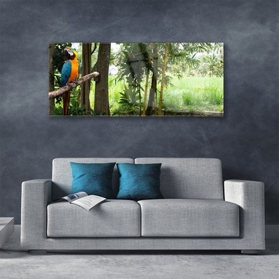 Skleneny obraz Papagáj stromy príroda