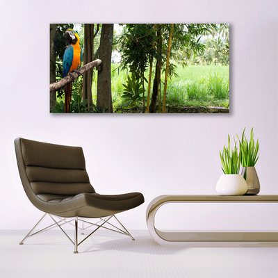 Skleneny obraz Papagáj stromy príroda
