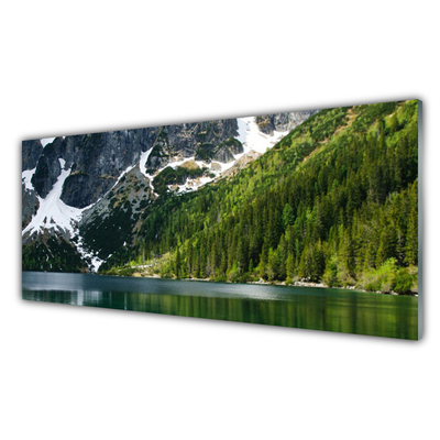 Skleneny obraz Jazero les hory príroda