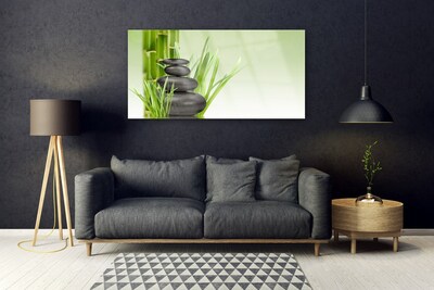 Skleneny obraz Bambus tráva rastlina príroda