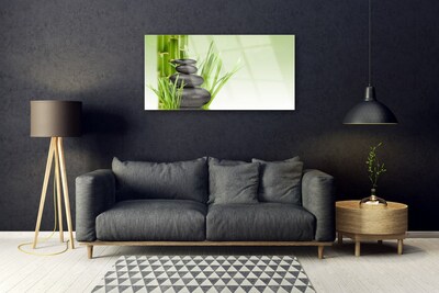Skleneny obraz Bambus tráva rastlina príroda