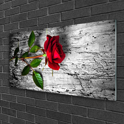 Skleneny obraz Ruže kvet rastlina