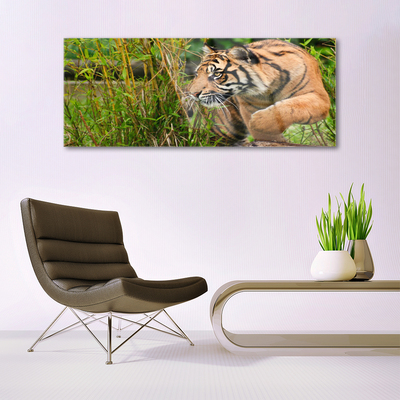 Skleneny obraz Tiger zvieratá