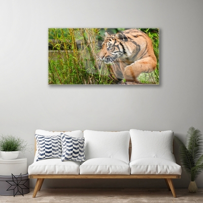 Skleneny obraz Tiger zvieratá