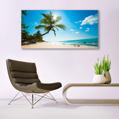 Skleneny obraz Palma strom pláž krajina