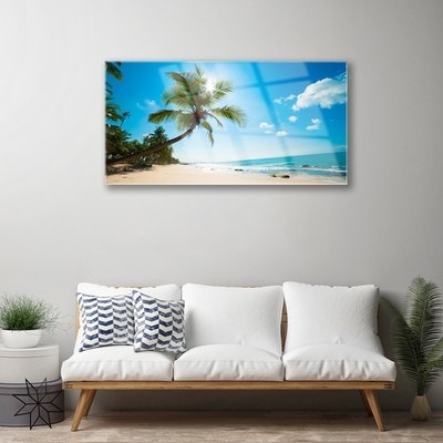 Skleneny obraz Palma strom pláž krajina