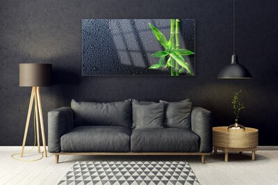 Skleneny obraz Bambus stonka rastlina príroda