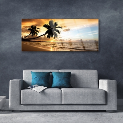 Skleneny obraz Palma stromy pláž krajina