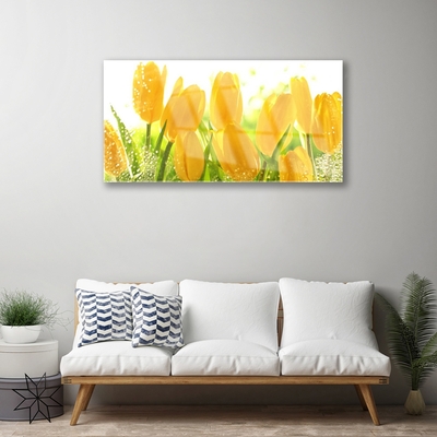 Skleneny obraz Tulipány kvety rastlina