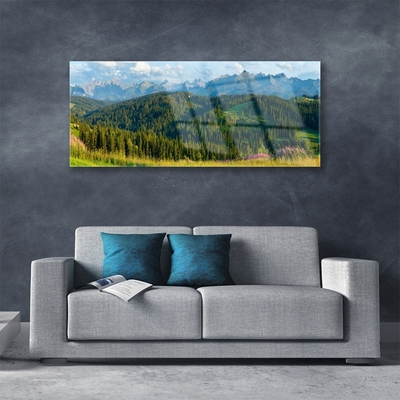 Skleneny obraz Hora les príroda