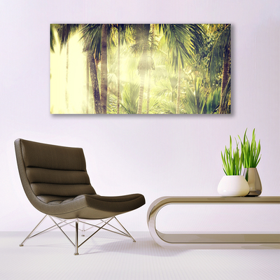 Skleneny obraz Les palmy stromy príroda