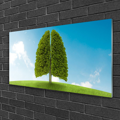 Skleneny obraz Tráva strom pľúca príroda
