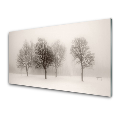 Skleneny obraz Sneh stromy príroda