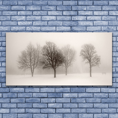 Skleneny obraz Sneh stromy príroda