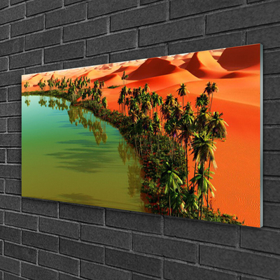 Skleneny obraz Jazero púšť palmy