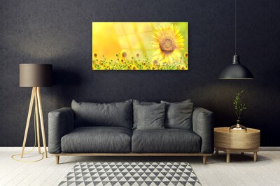 Skleneny obraz Slnečnica kvet rastlina