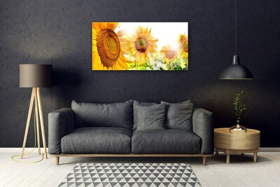 Skleneny obraz Slnečnica kvet rastlina
