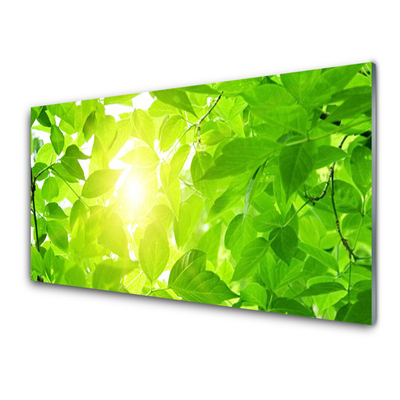 Skleneny obraz Listy príroda slnko rastlina