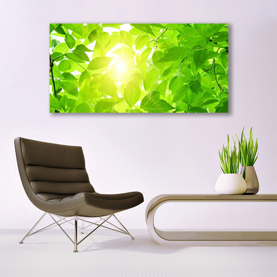 Skleneny obraz Listy príroda slnko rastlina