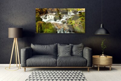 Skleneny obraz Vodopád skaly príroda