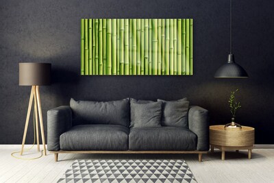 Skleneny obraz Bambus rastlina príroda