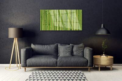 Skleneny obraz Bambus rastlina príroda
