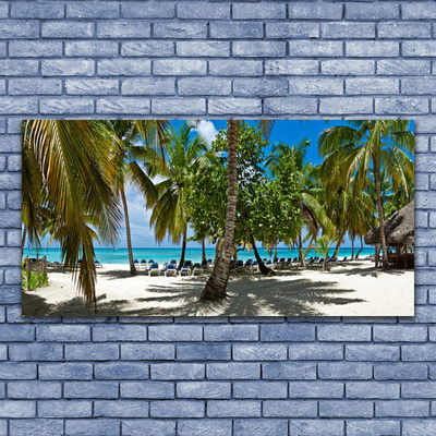 Skleneny obraz Pláž palma stromy príroda