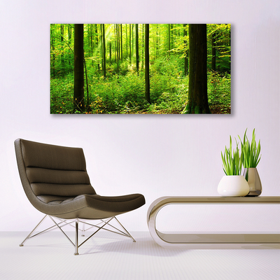 Skleneny obraz Les zeleň stromy príroda