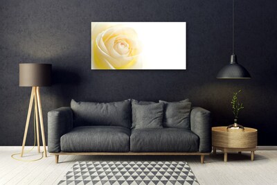 Skleneny obraz Ruže kvet rastlina