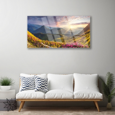 Skleneny obraz Hora lúka slnko krajina
