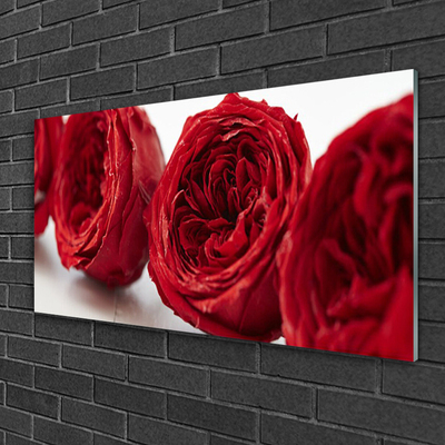 Skleneny obraz Ruže kvety rastlina
